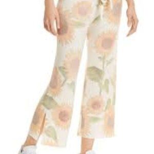 🌻 IN SEARCH OF! 🌻